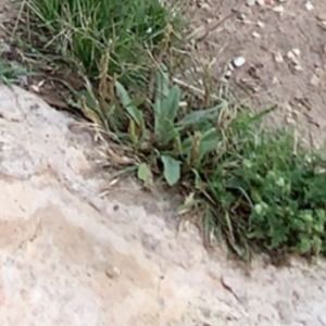 Meet your Posher, Xavier